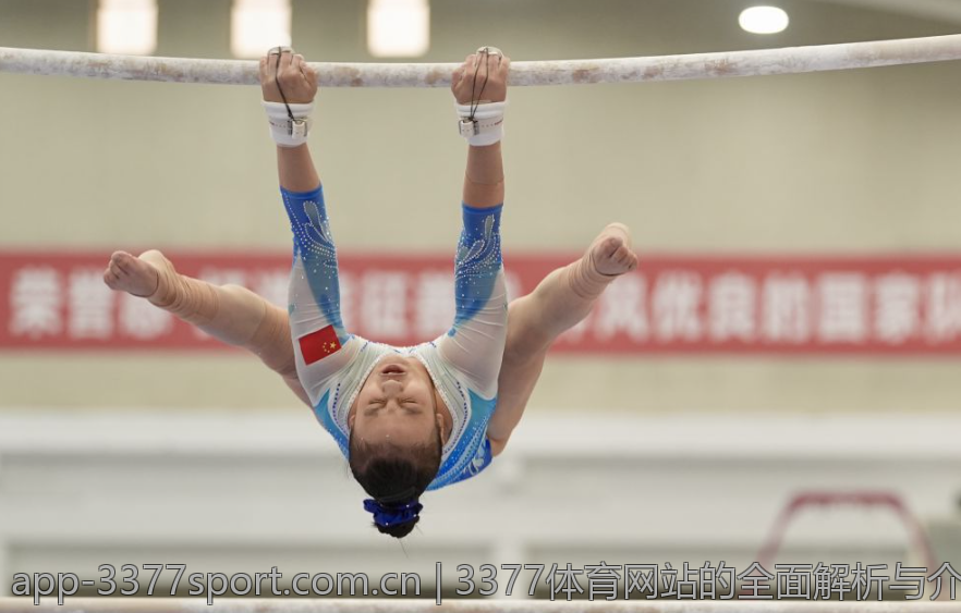 3377体育网站的全面解析与介绍