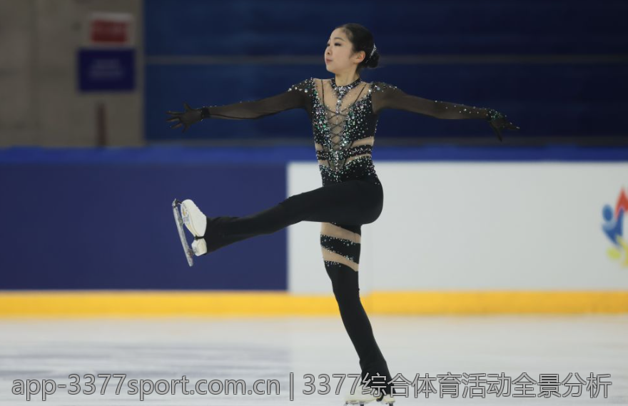 3377综合体育活动全景分析