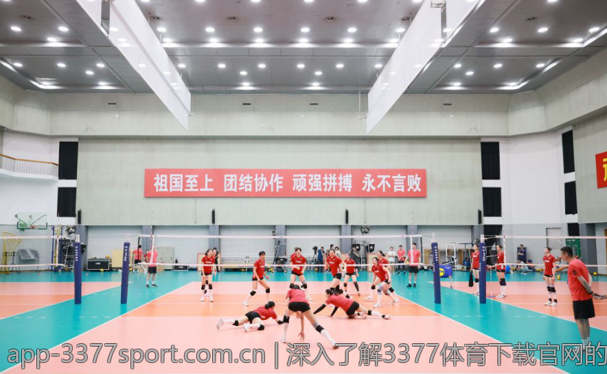 深入了解3377体育下载官网的界面设计