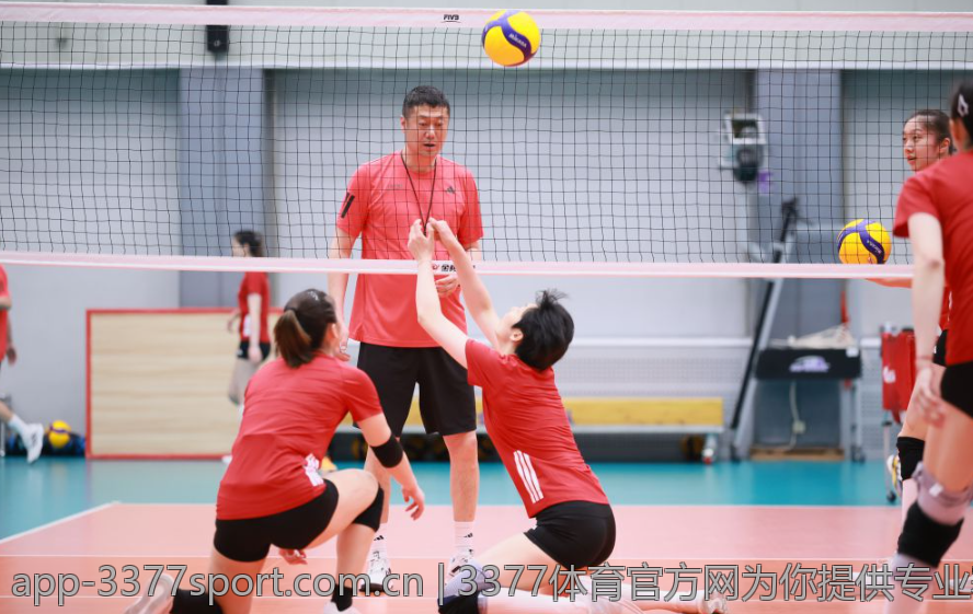 3377体育官方网为你提供专业赛事预测