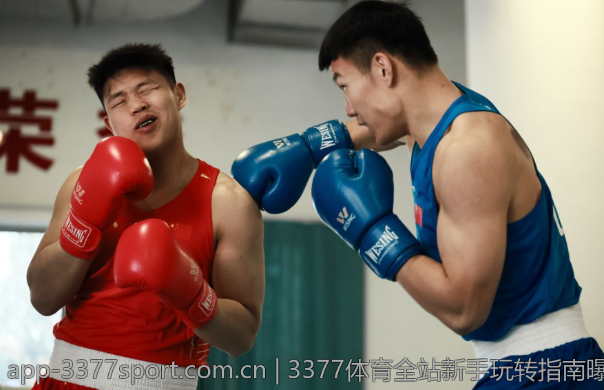 3377体育全站新手玩转指南曝光